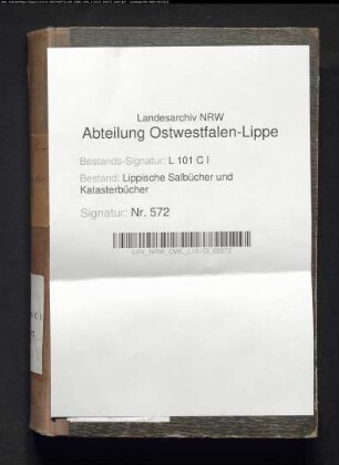 Konzept des Salbuchs des Amtes Schieder von 1859, Bd. 1