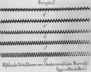 Köhlersche Schallkurven, Trompete 2 : Technikgeschichte | Physik | Akustik | Schallschwingungen und ihre photographische Wiedergabe