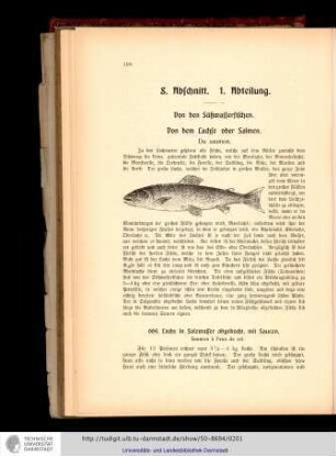 8. Abschnitt. Von den Fischen