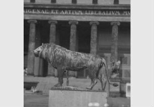 Blick auf die Plastik "Stehender Löwe" von August Gaul vor dem Hintergrund des Alten Museums