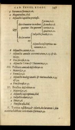 III. Pallium amiculi describitur ex