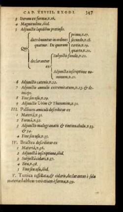 III. Pallium amiculi describitur ex