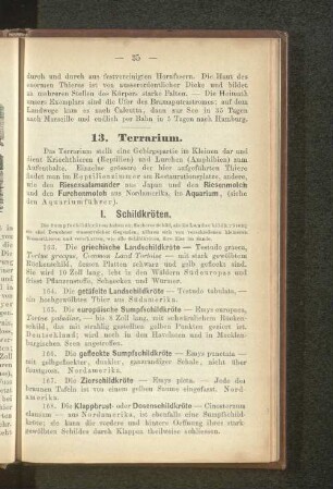 1. Schildkröten.