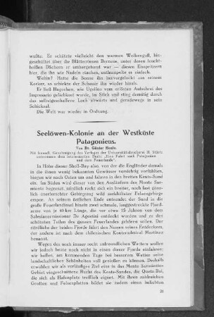 Seelöwen-Kolonie an der Westküste Patagoniens.
