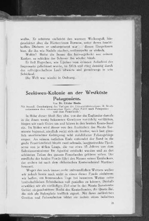 Seelöwen-Kolonie an der Westküste Patagoniens.