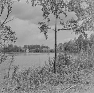 Kauppa, Inselteich und Schilfschneiden : Inselteich Kauppa