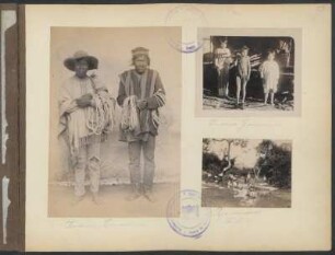 Indios Cordilleras [y] Indios Guarayos [y] Río Nuevo (Sta. Cruz)