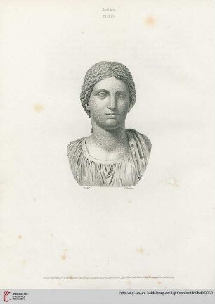 Plate XIII