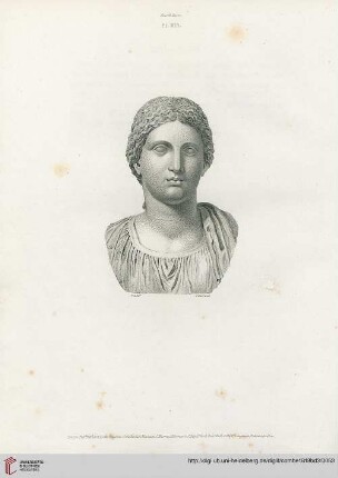Plate XIII