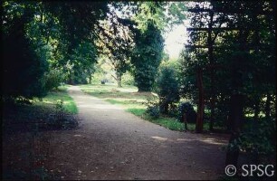 Potsdam, Park Sanssouci, Marlygarten, Parkweg im nördlichen Teil.