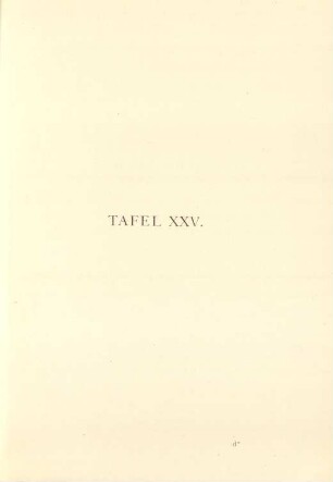 Tafel XXV.