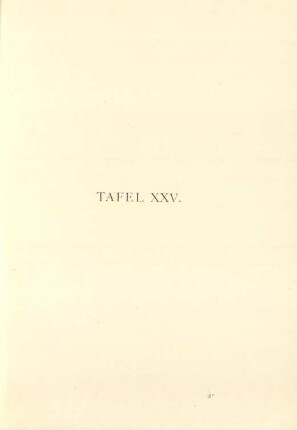 Tafel XXV.