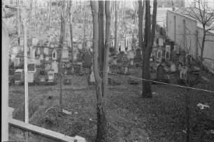 Alter jüdischer Friedhof : Dresden-Neustadt, Alter Jüdischer Friedhof, Blick nach Westen im Winter