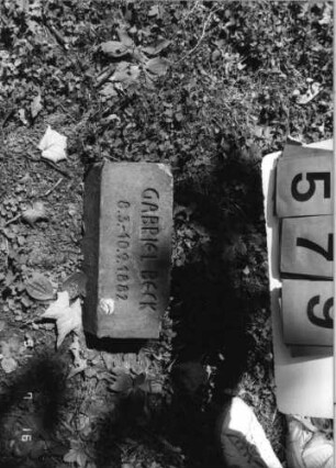 Grabstein 579 [Hahn S. 235 Grab-Nr. 436]