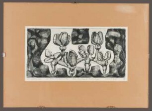 Radierung des Künstlers Erhard Groß, Titel: Steinpflanze, 1966