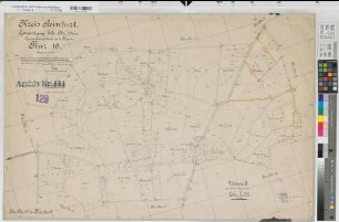 Elte (Rheine), Mesum (Rheine), Umlegung Elte, Urkarte 2 Mesum Flur 16;18