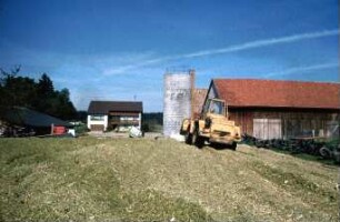 Fotografie: Ein- und Auslagerungstechnik, Flachsilo, Radlader, Maissilage