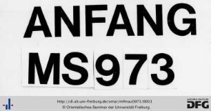 MF Mau 973
