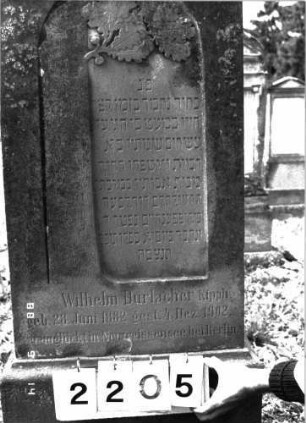 Grabstein 2205 (Index: 100097246) Maße HxBxT: 130x51x24 cm Symbolik: Eichenlaub: Grabstein 2205 (Detailaufnahme)