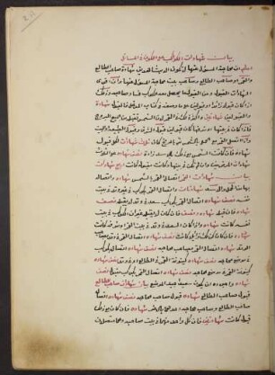 kleine astrologische Exkurse: f. 2r-3r, 13r-13v