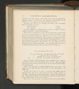 Genus Aviculopecten, McCoy, 1851.