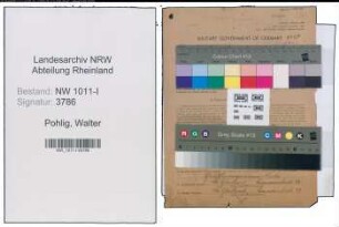Entnazifizierung Walter Pohlig , geb. 15.05.1909 (Textilkaufmann)