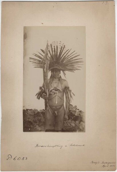 Bororo Chief