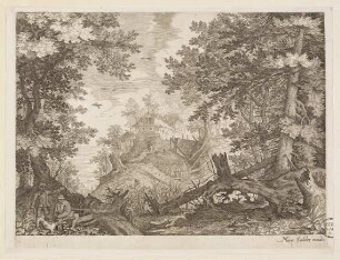 Waldlandschaft