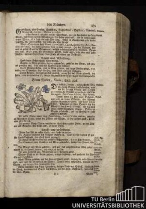 Cap. 226. Blaue Violen, Viola.
