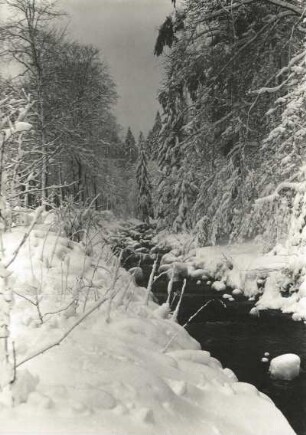 Osterzgebirge. An der Roten Weißeritz bei Kipsdorf
