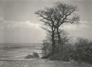Spaargebirge bei Meißen : Blick nach Coswig