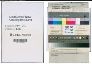 Entnazifizierung Heinrich Sinzinger , geb. (Stahlproduktion)