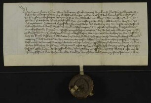 Graf Konrad von Kirchberg [Oberkirchberg Gde. Illerkirchberg/Alb-Donau-Kreis] verleiht für sich und Graf Eberhard von Kirchberg, seinen Bruder, dem Goldschmied und Bürger in Ulm Johann Langwalter die Güter in Mussingen [Gde. Illerkirchberg/Alb-Donau-Kreis].