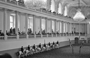 Wien: Spanische Reitschule, Training in der Reithalle