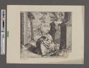 [Die Madonna mit dem schlafenden Kind]