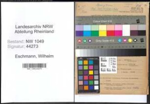 Entnazifizierung Wilhelm Eschmann , geb. 11.10.1880 (Schiessmeister)