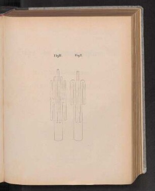 Fig. III. Fig. II.