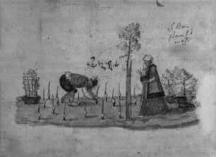 Gärtnerey, fol. 153r