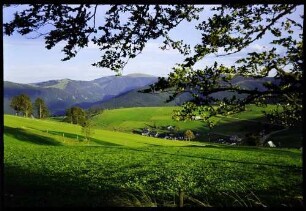 Schauinsland: von der Halde zum Feldberg
