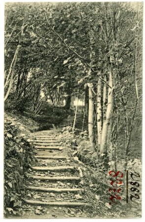 Portland, Oregon. Lover`s Lane