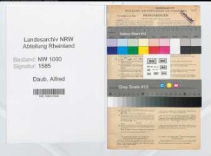 Entnazifizierung Alfred Daub, geb. 28.04.1909 (Ingenieur)