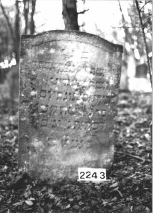 Grabstein 2243