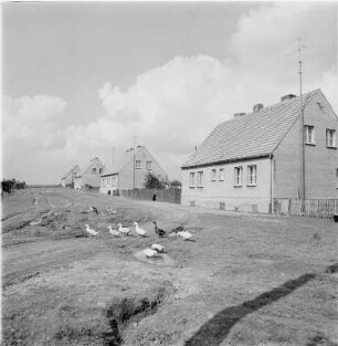 Neubauten in einem Dorf (wahrscheinlich in Mecklenburg)
