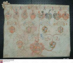 Ahnenprobe des Franz Joseph Reichling v. Meldegg. - ausgefertigt um 1700 verwaschen aber lesbar, Pergament