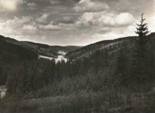 Osterzgebirge. Mordgrund, Naturschutzgebiet Bienhof bei Gottleuba