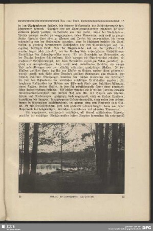 Bei Ludwigsfelde