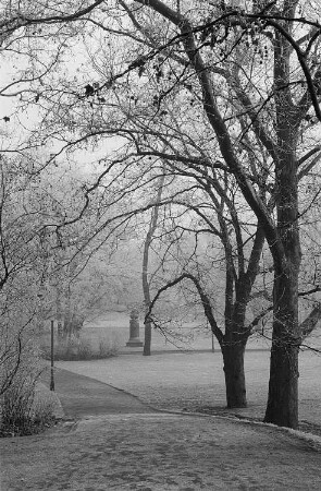 Weg im Johannapark