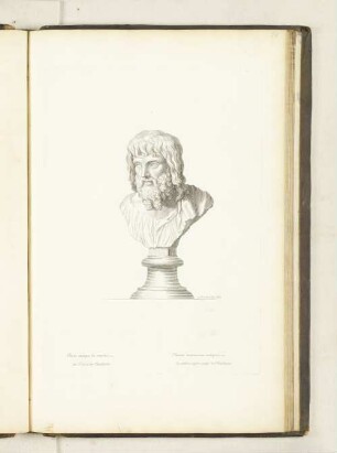 Buste antique de marbre. au Palais des Thuilleries.