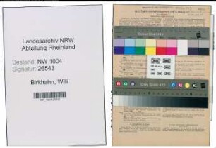 Entnazifizierung Willi Birkhahn , geb. 02.10.1897 (Schlosser)