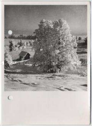 Winterlandschaft